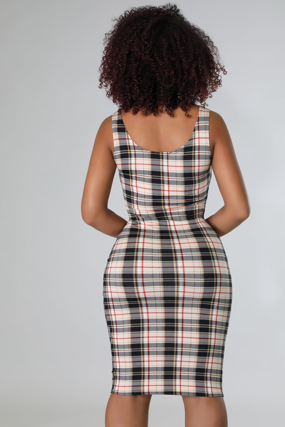 Fancyeve Plaid Dress