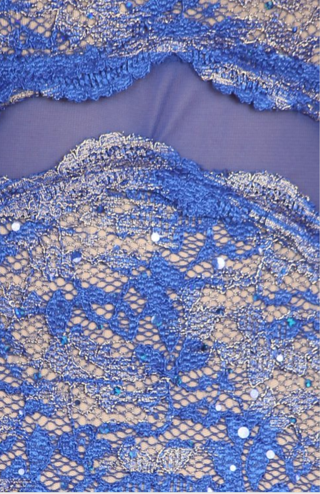 Glittered Metallic Lace Sheath Dress