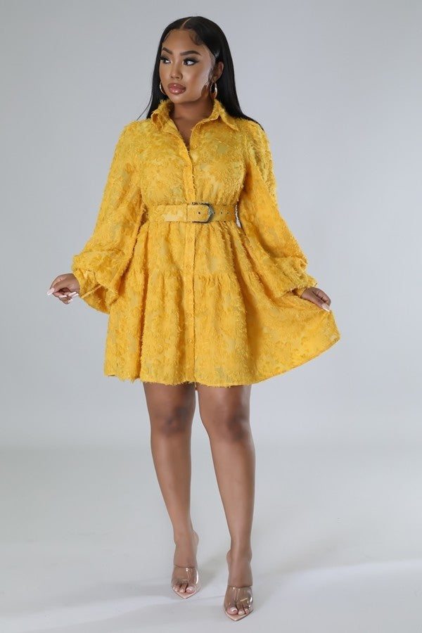 Paris Babe Dress