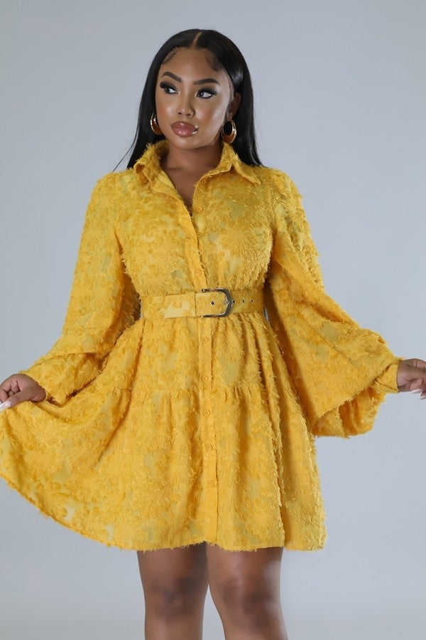 Paris Babe Dress