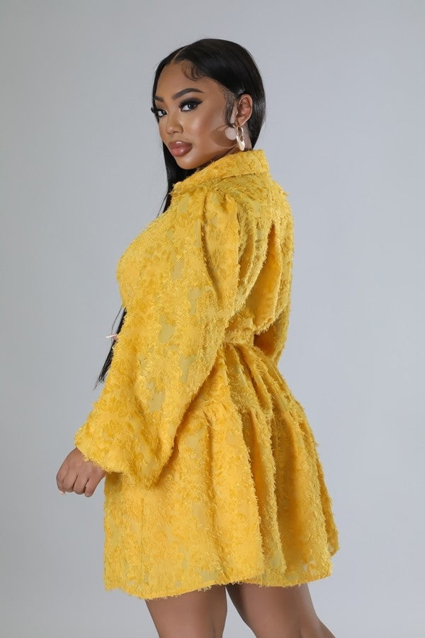 Paris Babe Dress