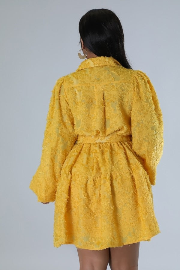 Paris Babe Dress