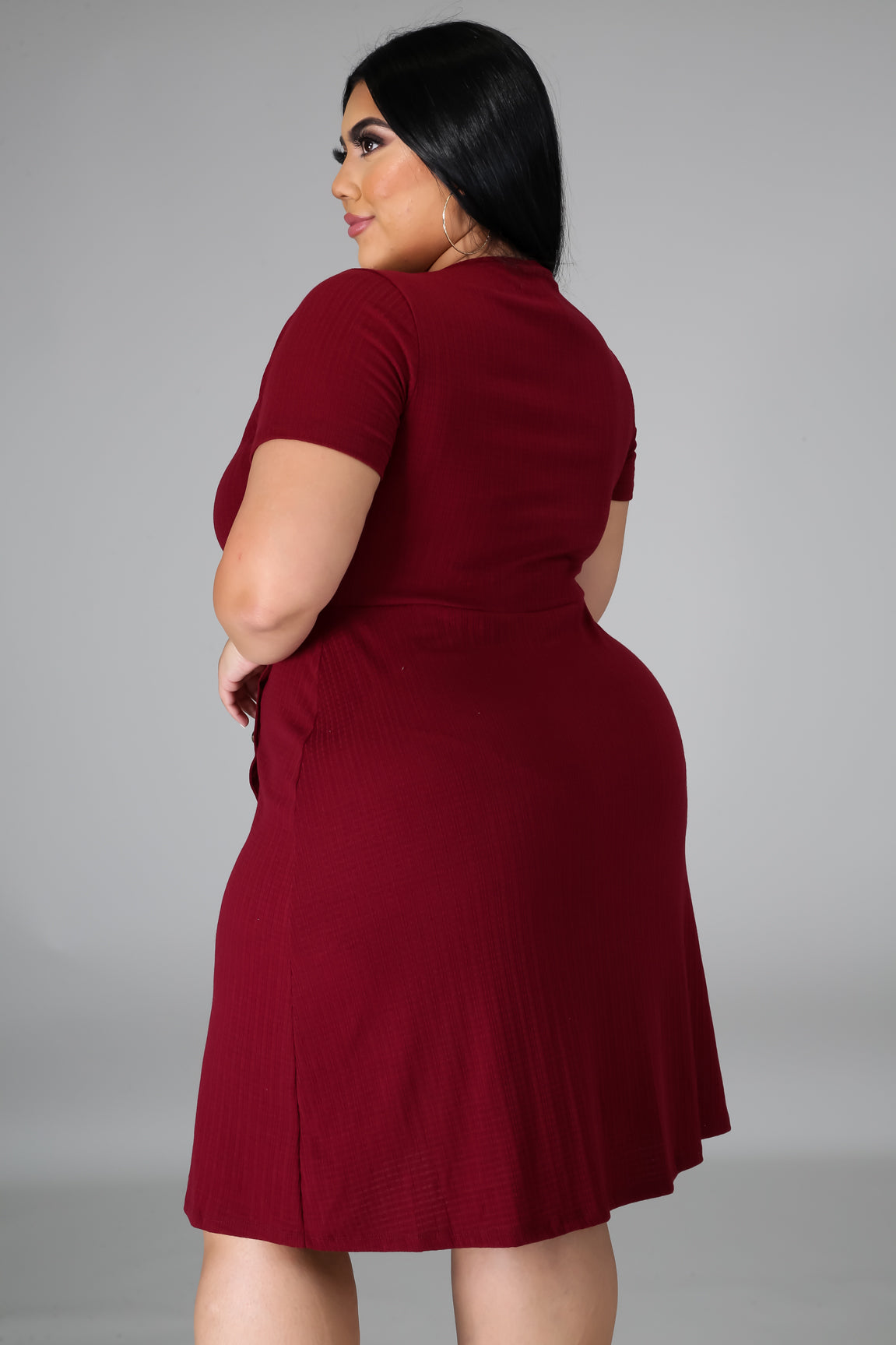 Sasha Plus Size Dress