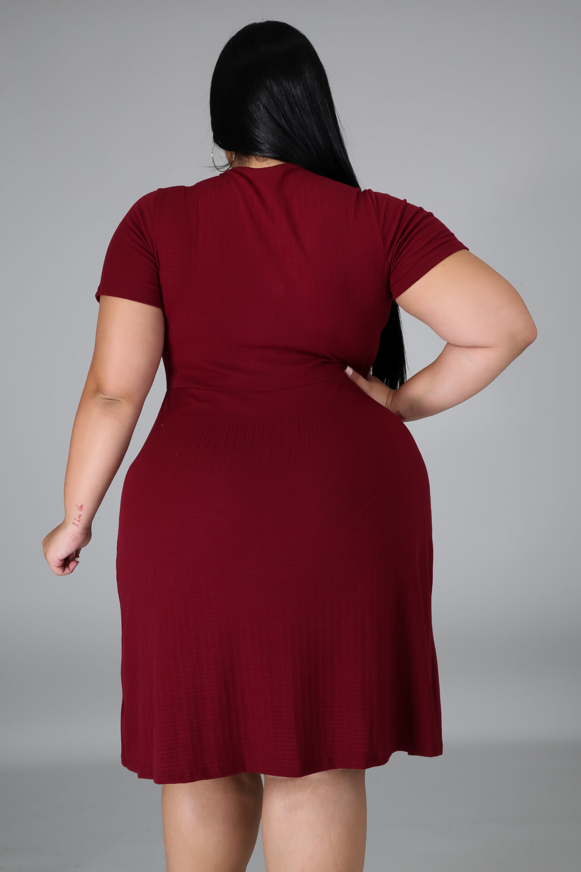 Sasha Plus Size Dress