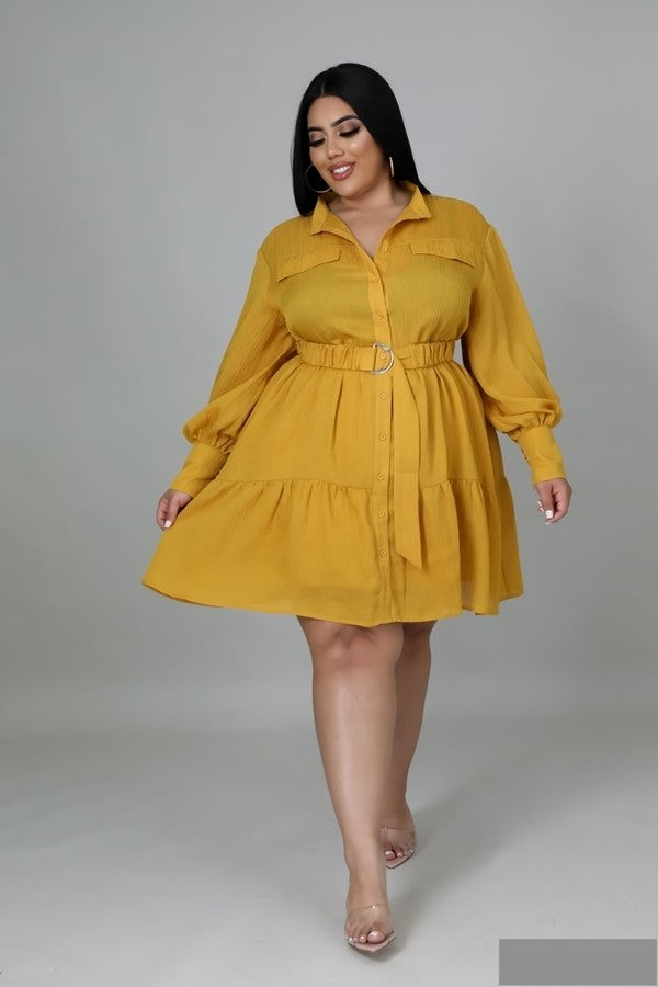 Paris Cutie Dress Plus